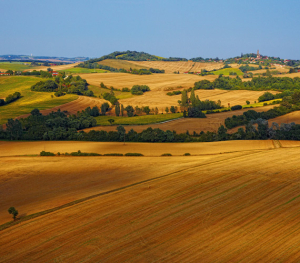 Paysage du Gers © D.Viet / CRTL Occitanie
