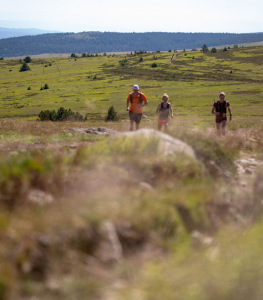 Mont Lozère