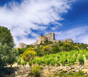 Tuchan - Château d'Aguilar © G.Deschamps / CRTL Occitanie