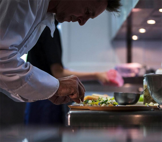 Restaurateur Teritoria © Teritoria