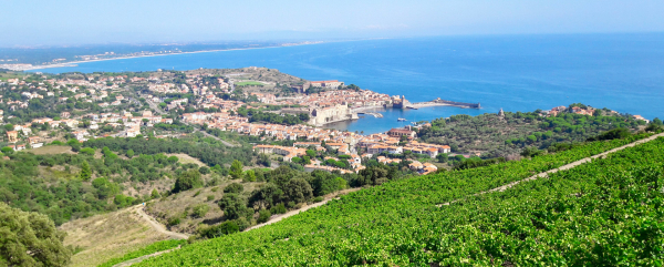 Collioure - Côte Vermeille © Christine Chabanette / CRTL Occitanie