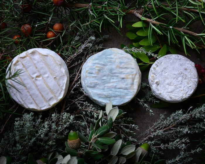 Pélardons Pélardons © Syndicat des Producteurs de Pélardon