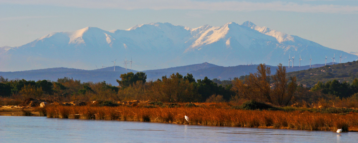Depuis l'étang de Gruissan, vue sur le Pic du Canigou