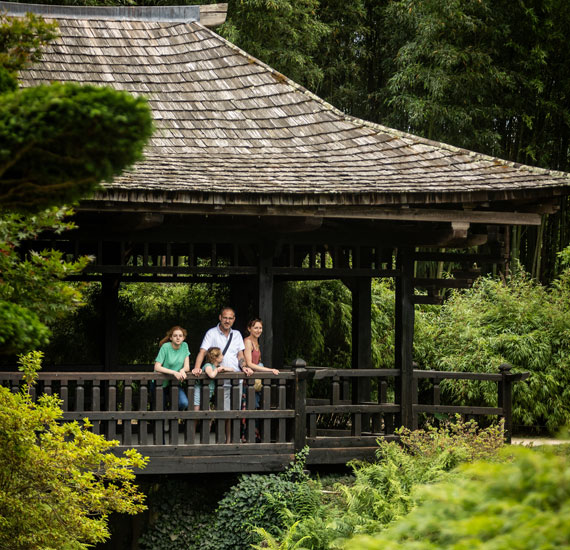 Bambouseraie en Cévennes