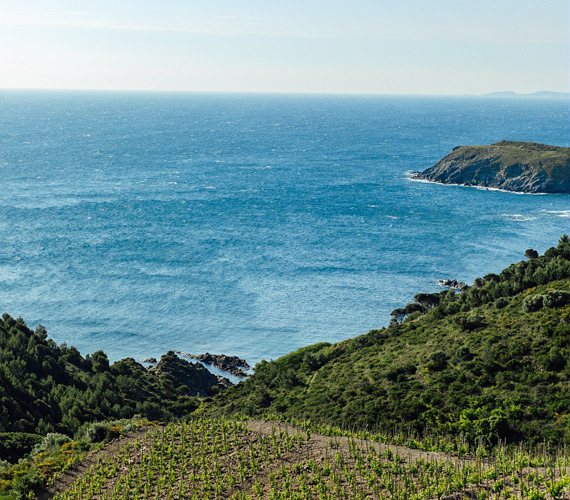Côte Vermeille - Parc marin © Charlène Pelut / CRTL Occitanie