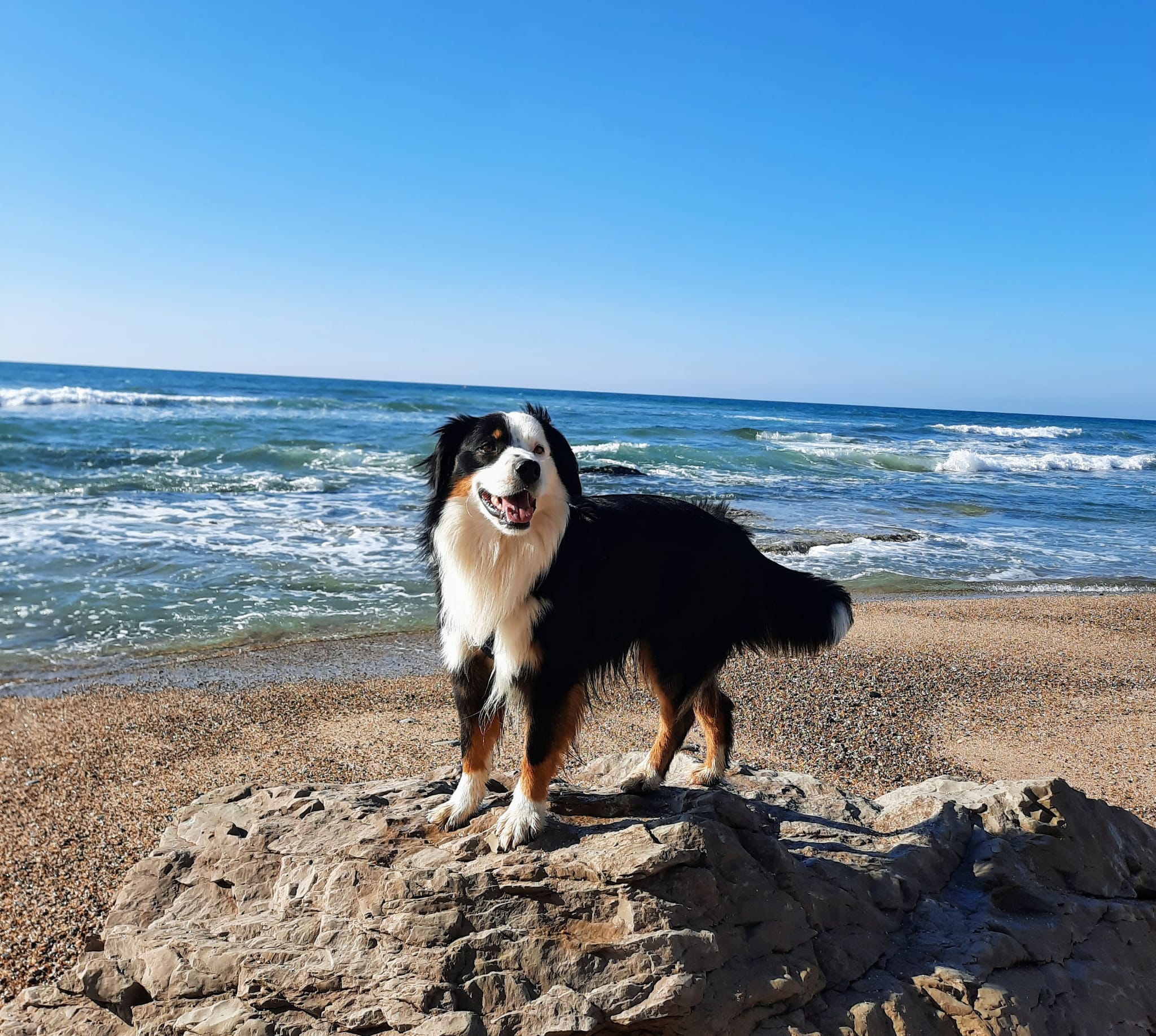 Django profite du soleil sur la Côte Méditerranée