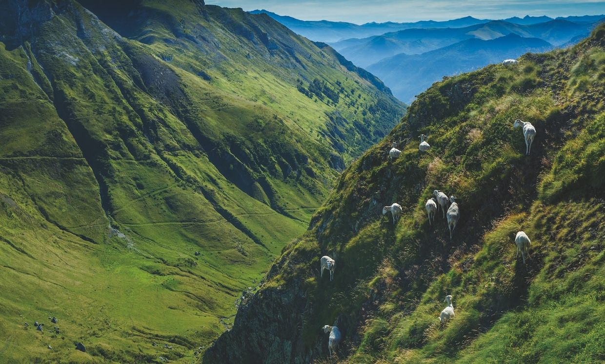 Plaine de Roc Nègre © Arnaud Spani / PNR Pyrenées Ariégeoises
