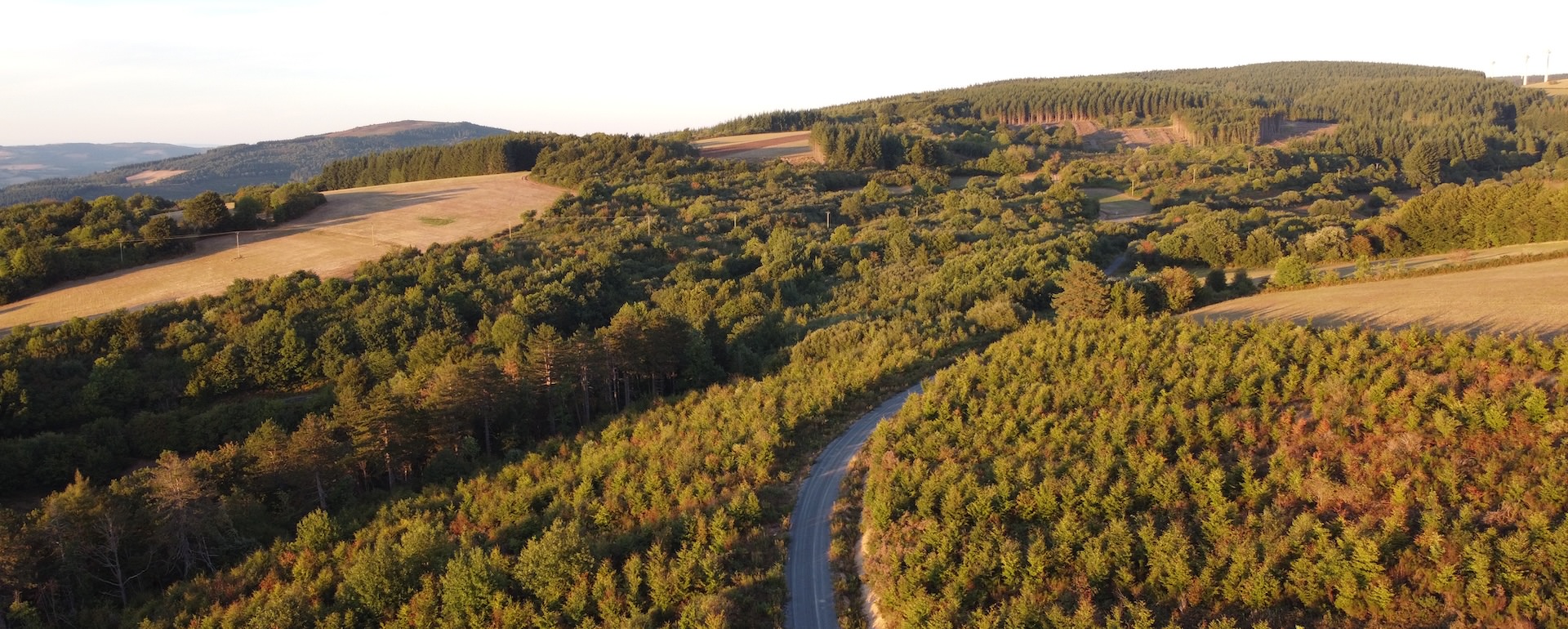 Monts de Lacaune - PNR Haut Languedoc © J. Roudet