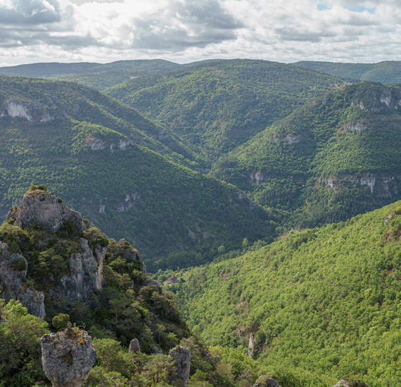 Parc naturel régional des Grands Causses