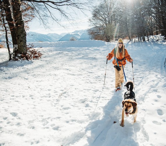 Chien neige cani rando ©Charles Ripon - ADT09