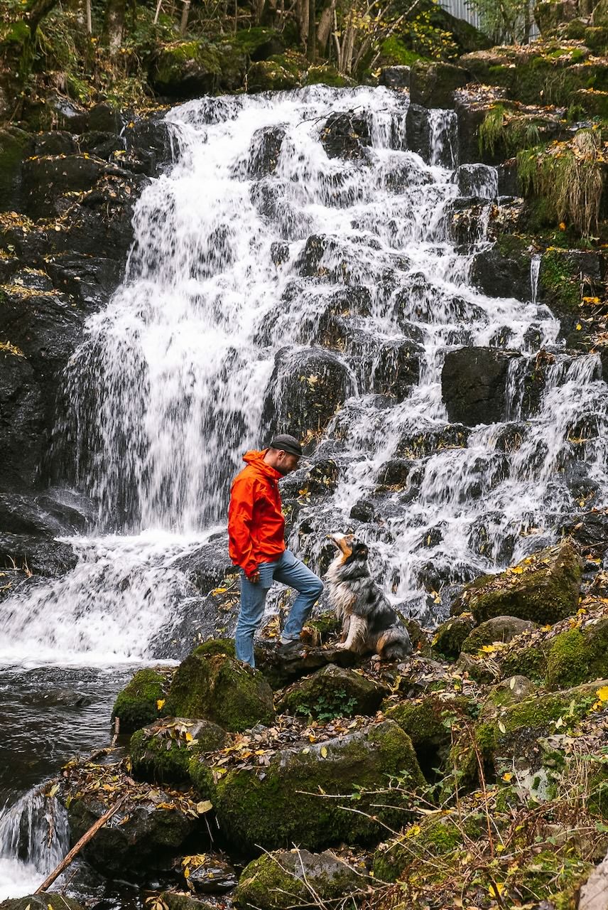 Chien cascade Aubrac ©Destinatrip Flo Vani