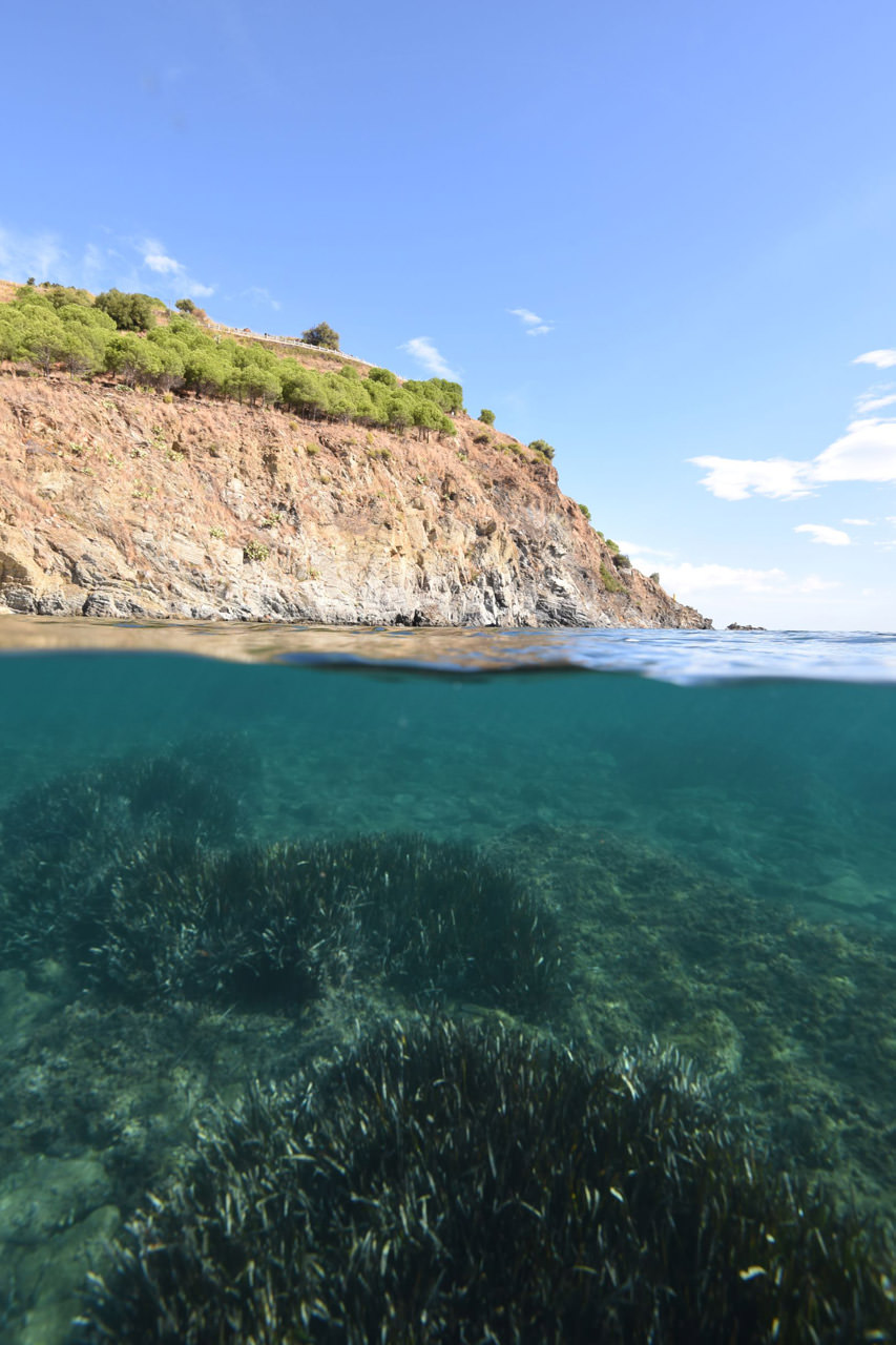 Parc naturel marin du gofe du Lion © Bruno Ferrari / Office Français de la Biodiversité Parc naturel marin du gofe du Lion © B.Ferrari / Office Français de la Biodiversité