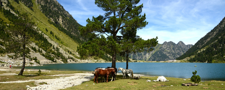 Lac de Gaube © Patrice Thébault / CRTL Occitanie