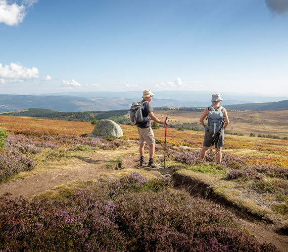 Mont Lozère _ Cévennes © Benoît Colomb / CRTL Occitanie