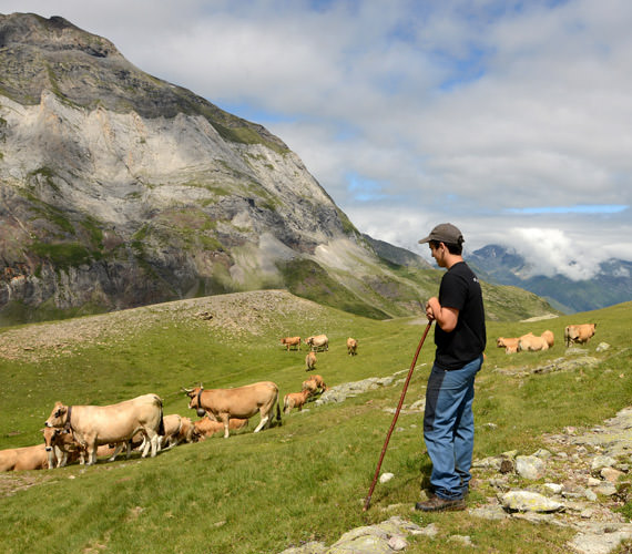 Berger dans les Pyrénées © Patrice Thébault / CRTL Occitanie