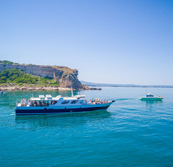 Leucate - Observation des dauphins © Leucate Evasion Marine