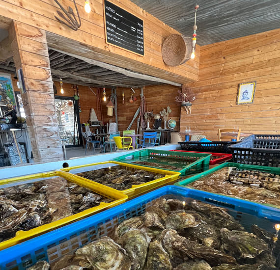 Cabanes à huîtres, Leucate