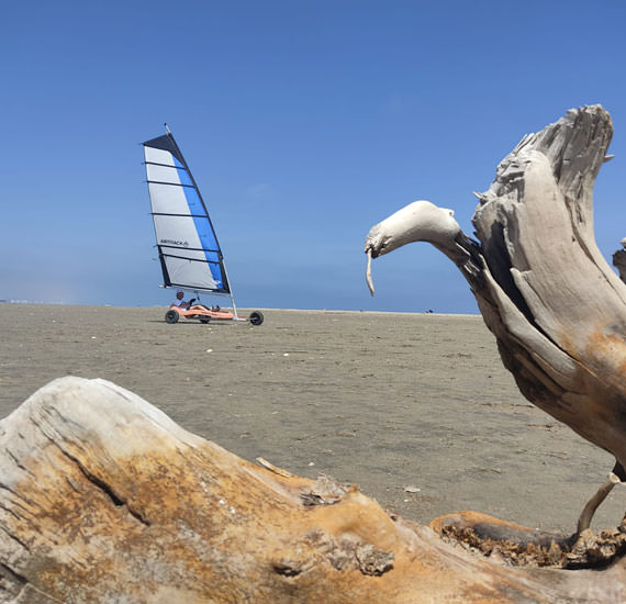 Char à voile En Méditerranée