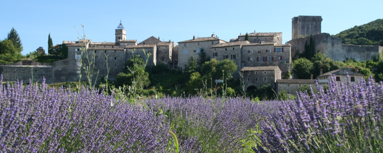 Montclus et champs de lavande © OT Provence Occitane