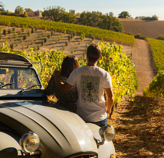 Vignobles du Gers