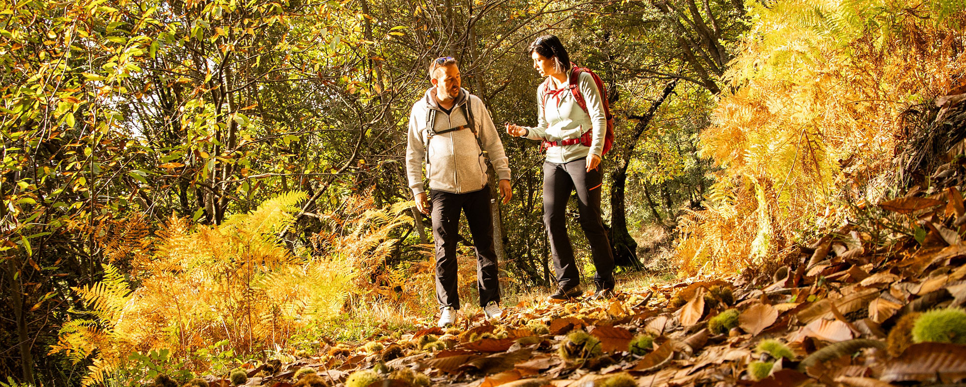Sentier de la Magnanerie, Lozère ; Molezon