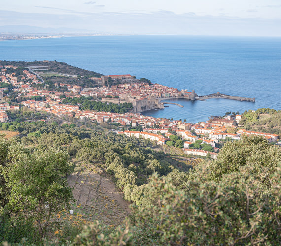Collioure © Guillaume Payen  Collioure © Guillaume Payen / CRTL Occitanie