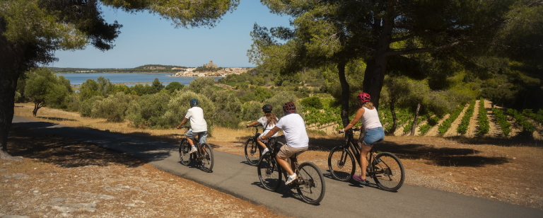 Vignobles à Gruissan, Terre de Velo © Julien Bru