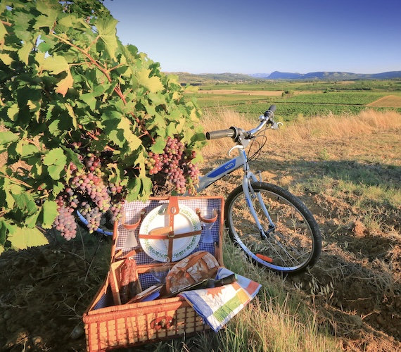 Pique-nique à Boutenac © C. Deschamps