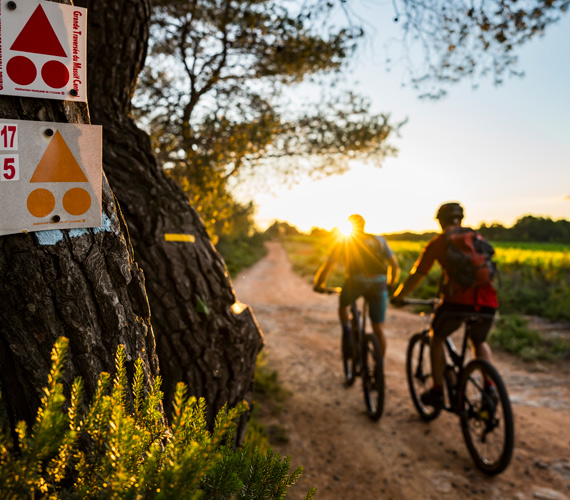 VTT circuit Via Domitia © SamBie