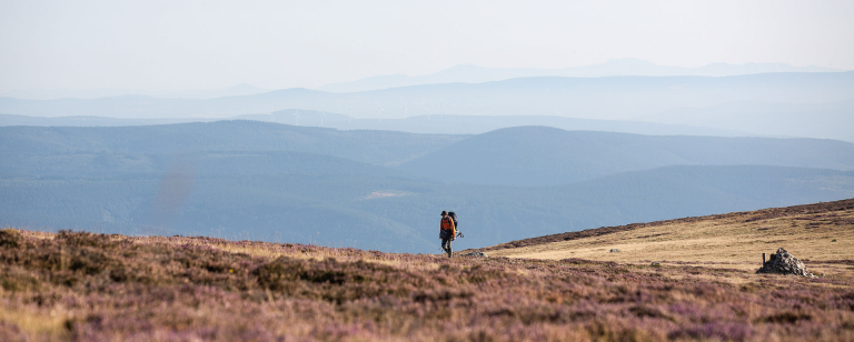 Sommet de Finiels sur le massif du Mont-Lozère