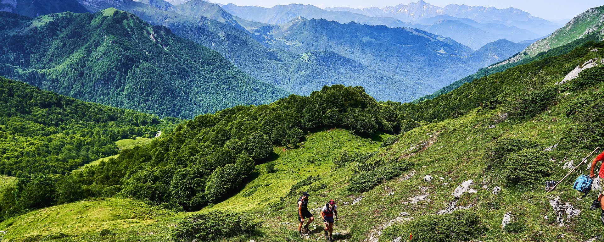 Coureurs trail de Guzet dans la végétation avec les montagnes en fond  Coureurs trail de Guzet dans la végétation avec les montagnes en fond