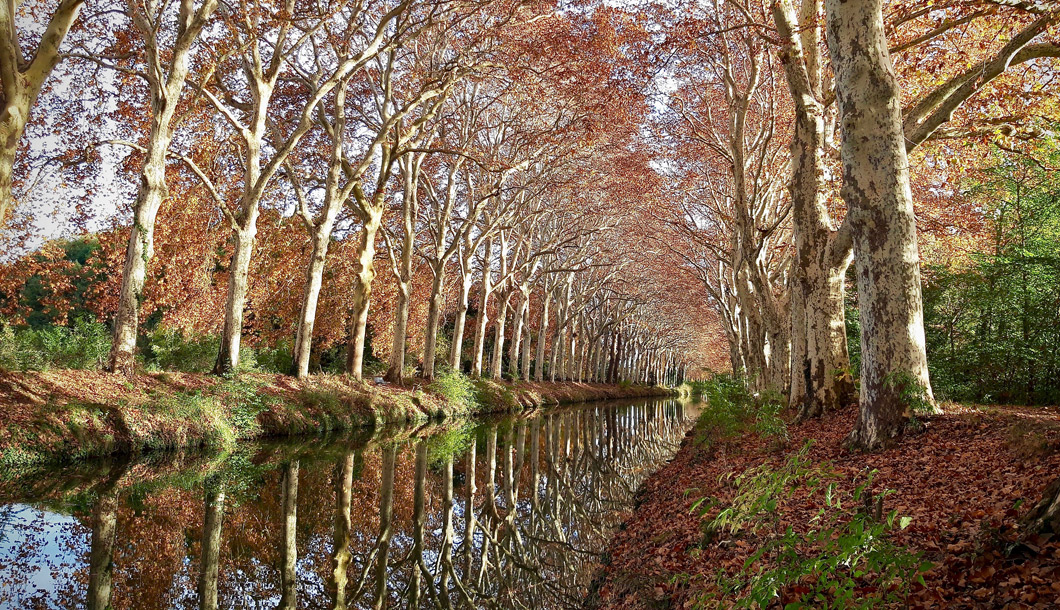 Toulouse - canal du Midi © Christine Chabanette  Toulouse - canal du Midi © Christine Chabanette / CRTL Occitanie