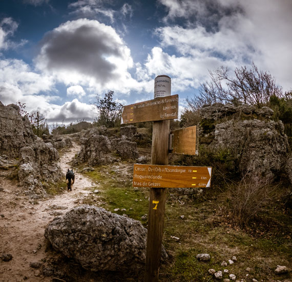 WE CHOC HÉRAULT LODÉVOIS ET CLERMONTAIS