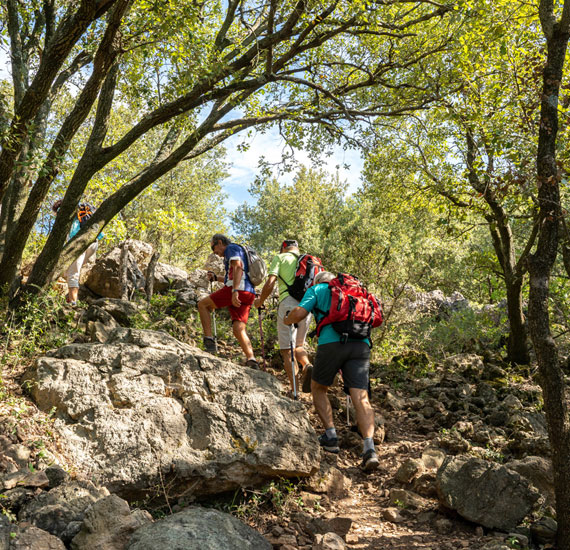 WE CHOC HÉRAULT LODÉVOIS ET CLERMONTAIS