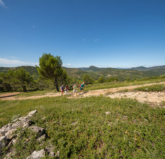 WE CHOC HÉRAULT LODÉVOIS ET CLERMONTAIS