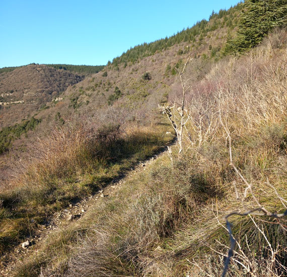 WE CHOC HÉRAULT LODÉVOIS ET CLERMONTAIS