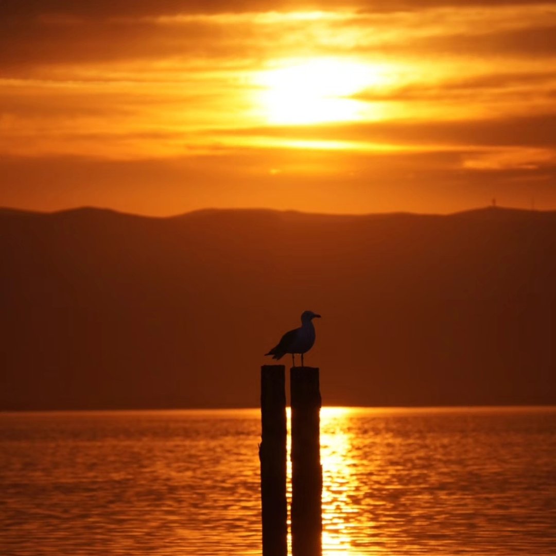 Valérie Blog trotter 2026