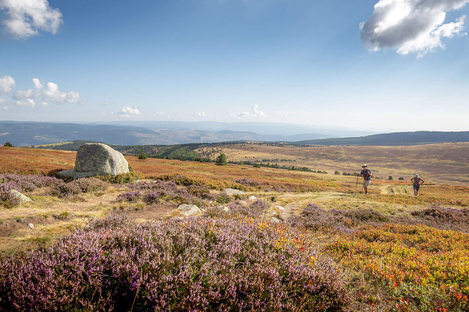 Sommet-de-Finiels-sur-le-massif-du-Mont-Lozère-